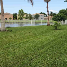 landscaping services by Concept Lawncare LLC reviewed on August 20, 2025