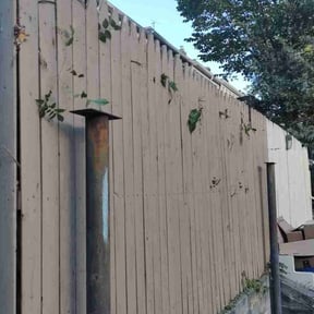 lawn care by CNR Landscaping reviewed on June 4, 2025