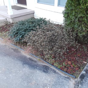 Flower Bed Weeding by D D's Lawn Maintenance reviewed on August 16, 2025