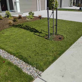 gardening service by Turf tailor reviewed on February 25, 2026