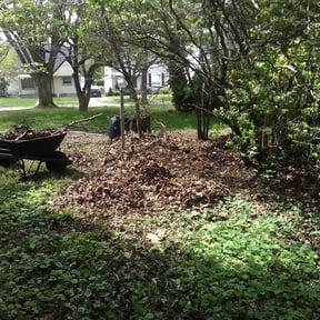 Leaf Removal by Handsome Landscaping Group, LLC. reviewed on September 14, 2025