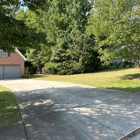 lawn care by I Cut Grass (ONLY) reviewed on July 15, 2025