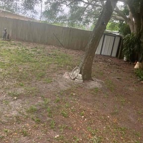 Leaf Removal by Gia Mobile Detailing reviewed on August 18, 2025