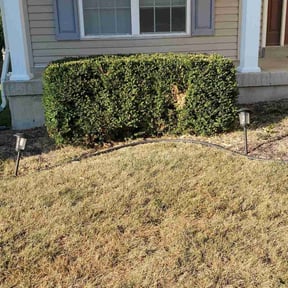 Bush Trimming by Restore Industrial reviewed on December 27, 2025