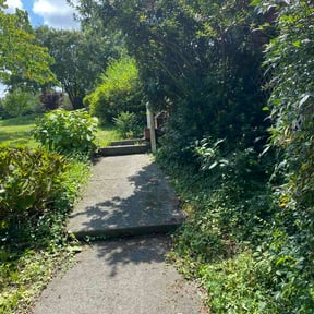 Bush Trimming by A Cut Above The Rest Landscaping &amp; Lawn Maintenance reviewed on August 25, 2026