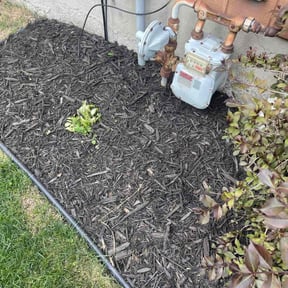Flower Bed Weeding by MTD Lawncare & Maintenance reviewed on August 18, 2025