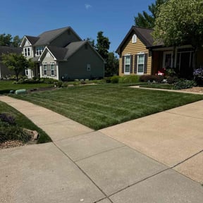 landscape maintenance by Amanda&#039;s Tree Trimming &amp; Lawn Care Services reviewed on August 18, 2025