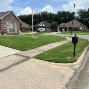 yard work by D. Nelsons Lawn Care, LLC reviewed on August 18, 2025