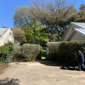 Bush Trimming by Jones premier service reviewed on August 17, 2025