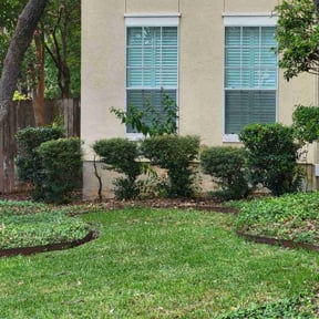 Bush Trimming by Posey landscaping reviewed on August 16, 2025