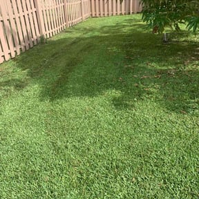 yard work by M&j lawn & handyman service reviewed on August 17, 2025