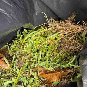 Flower Bed Weeding by Malloy &amp; Malloy Landscaping LLC reviewed on July 9, 2026