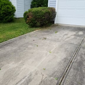 Bush Trimming by North Pearl landscaping reviewed on August 21, 2025