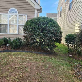 Bush Trimming by BD's Platinum Lawncare LLC reviewed on August 16, 2025
