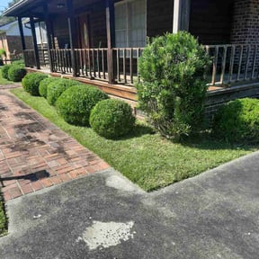 Bush Trimming by Sisu lawn care reviewed on August 20, 2025