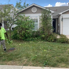 Bush Trimming by CPS LLC. reviewed on November 19, 2025