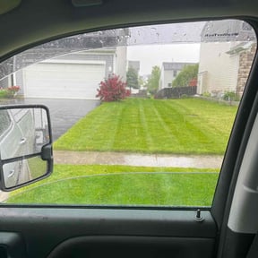 lawn care by Paul Ney reviewed on August 19, 2025