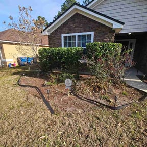 Bush Trimming by Starr cleaning and lawn care reviewed on February 25, 2026