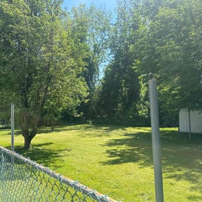 grass maintenance by Aaron&#039;s Lawn Care reviewed on April 29, 2024