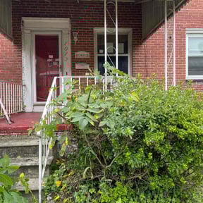 Bush Trimming by TNT landscaping &amp; Lawncare llc reviewed on October 23, 2025