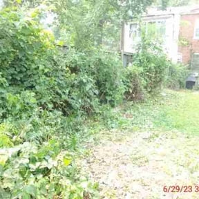 Bush Trimming by Crazie.lawns@gmail.com reviewed on August 21, 2025