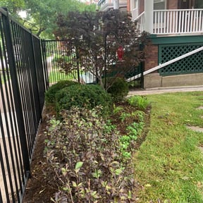 Bush Trimming by R&R Lawncare reviewed on August 20, 2025