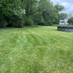 residential landscaping by Sosa&#039;s Lawn Care &amp; Design LLC reviewed on August 18, 2025