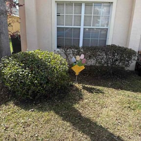 Bush Trimming by Ortega lawn services LL reviewed on March 30, 2026