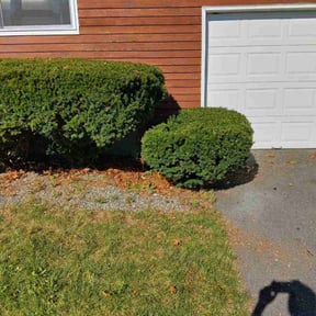 Bush Trimming by Meridian Management Group LLC reviewed on August 20, 2025