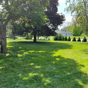 turf care by K&K Green Grass reviewed on April 19, 2024