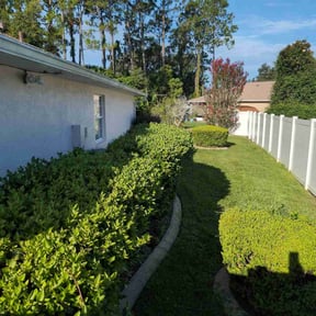 landscaping by Nieves lawn care reviewed on December 17, 2025