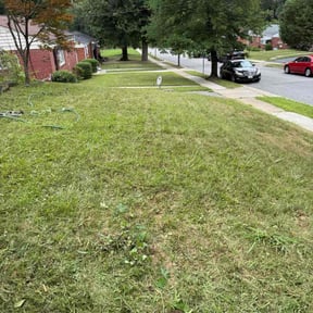 Flower Bed Weeding by FFS Lawn Care, LLC reviewed on October 21, 2025