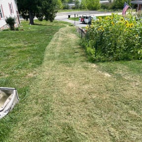 turf care by Fully Loaded LLC reviewed on June 26, 2025