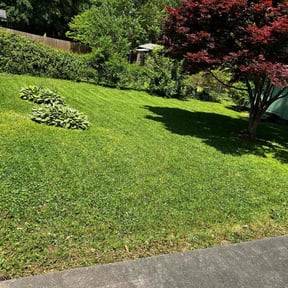 turf maintenance by PNC Delivery Express reviewed on August 5, 2023