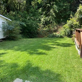 yard maintenance by C.A.N. Lawn services llc reviewed on August 20, 2025