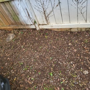 Flower Bed Weeding by Greenworx Lawn Care reviewed on August 21, 2025