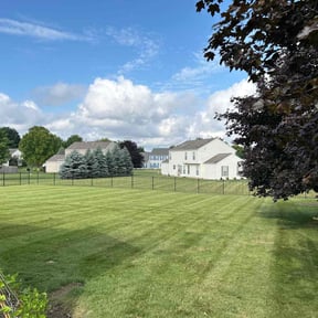 landscaping services by J.G.SupremeLandscaping LLC. reviewed on August 18, 2025