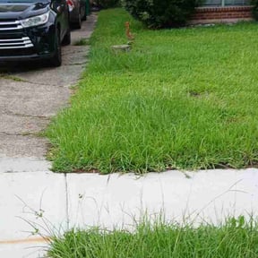 Bush Trimming by Big Boii Landscaping & Mote.... reviewed on August 21, 2025