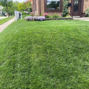 grass cutting by Good Shepherd Home Services LLC reviewed on August 16, 2025