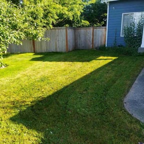grass maintenance by BBL Services reviewed on October 7, 2024
