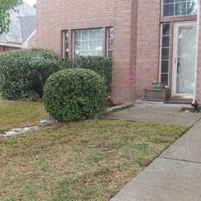 Bush Trimming by Premier Lawn Management reviewed on August 18, 2025