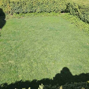 residential landscaping by Journeys greatscape reviewed on August 21, 2025