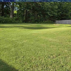 landscaping services by Andersen landscaping & Design reviewed on August 19, 2025