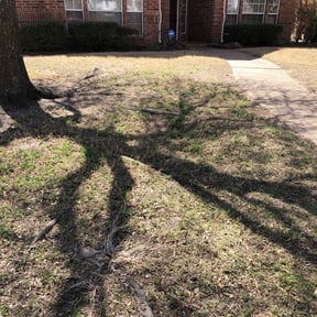 Leaf Removal by Holtech maintenance solutions reviewed on September 16, 2025