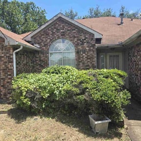 Bush Trimming by N & J lawn care reviewed on August 20, 2025