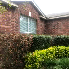 Bush Trimming by G&M Landscaping Services reviewed on September 25, 2025