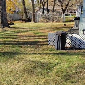 Leaf Removal by Michael Norman Lawn reviewed on November 21, 2025