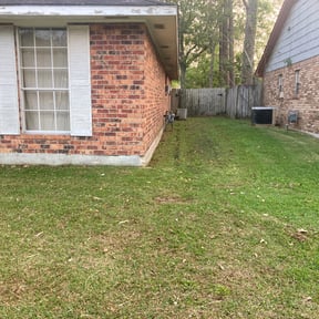 Leaf Removal by Simple Cuts Lawn Service reviewed on September 19, 2025