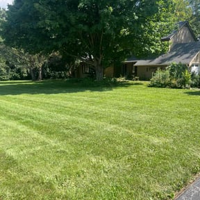 residential landscaping by Rivera landscaping reviewed on August 18, 2025