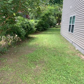 Bush Trimming by Foster’s Lawn Maintenance reviewed on August 21, 2025